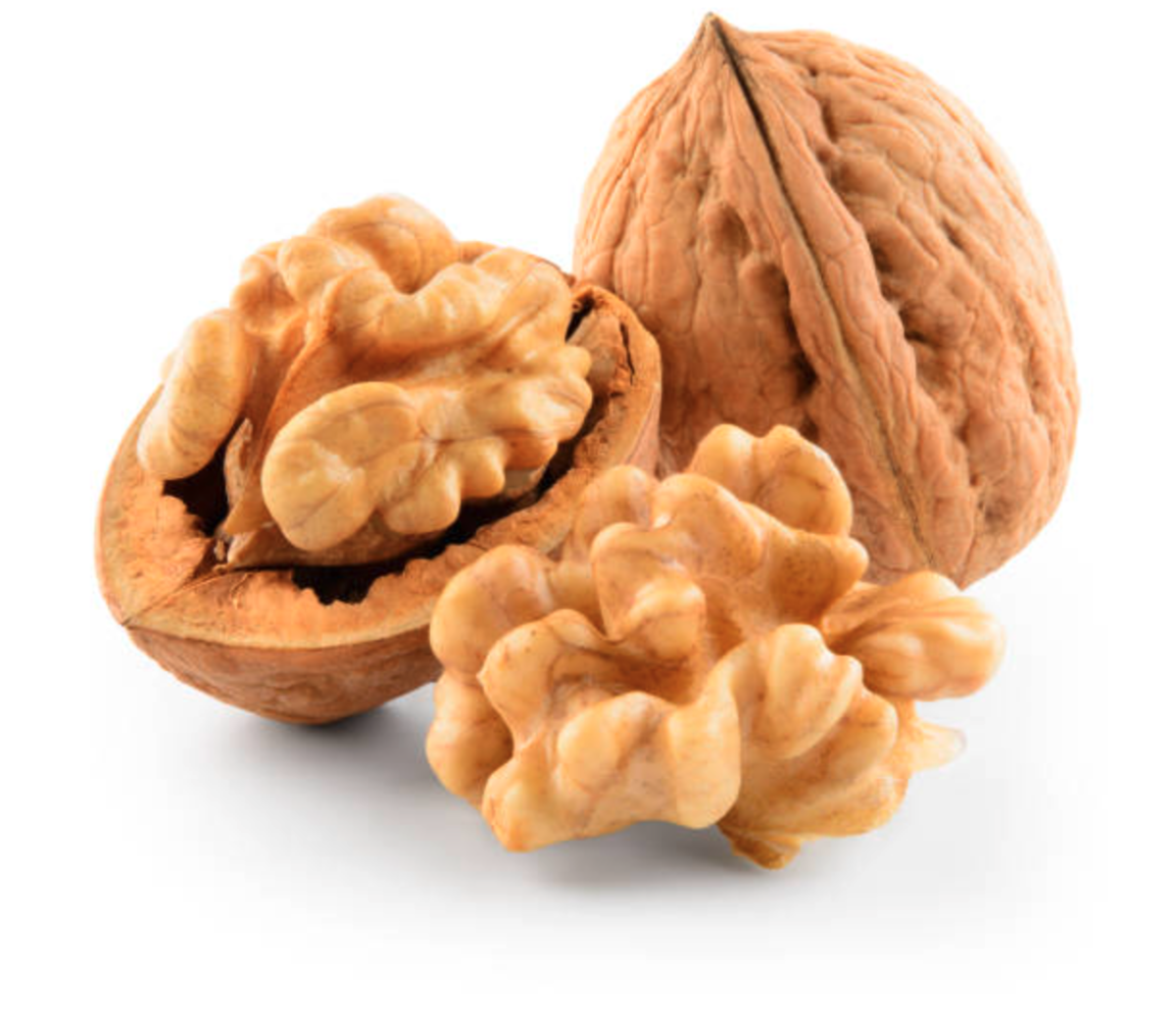 A walnut fits the proper description of a nut.