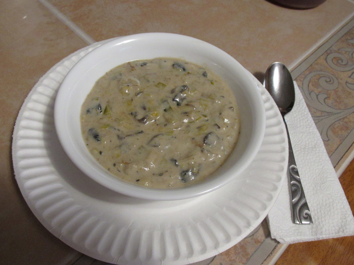 A bowl of hot cream of mushroom and leek soup