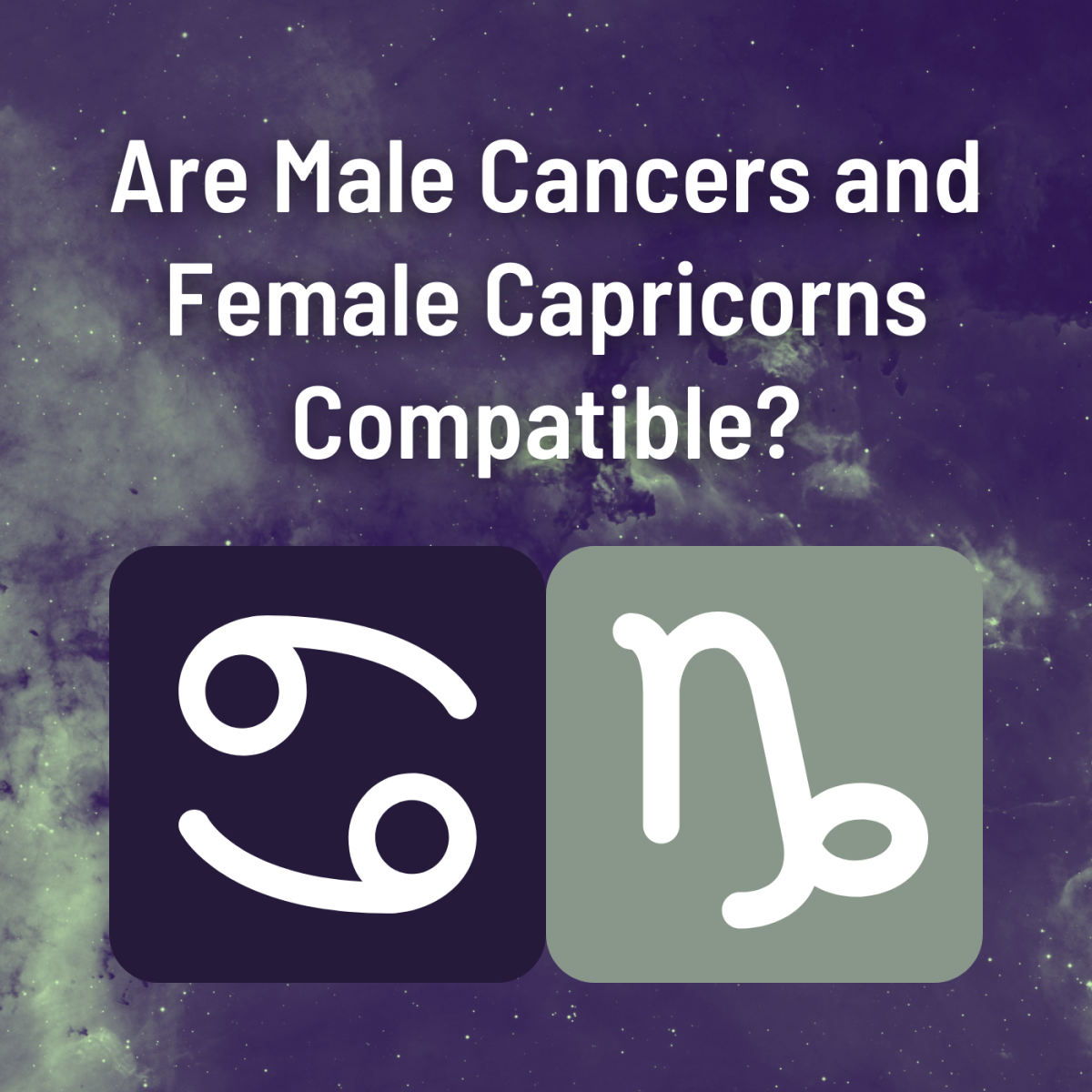 Explore the compatibility between women with the Capricorn zodiac sign and men with the Cancer sign.