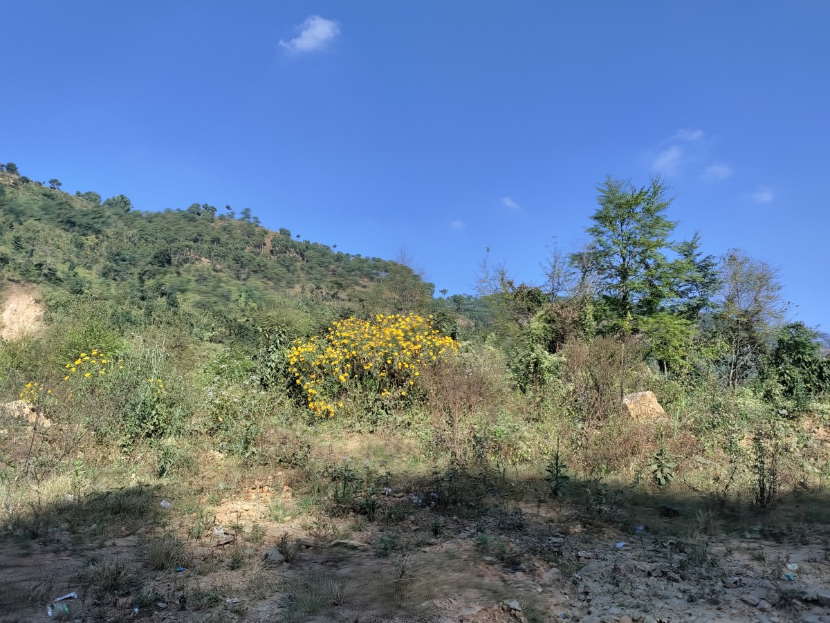 Jayantia Hills