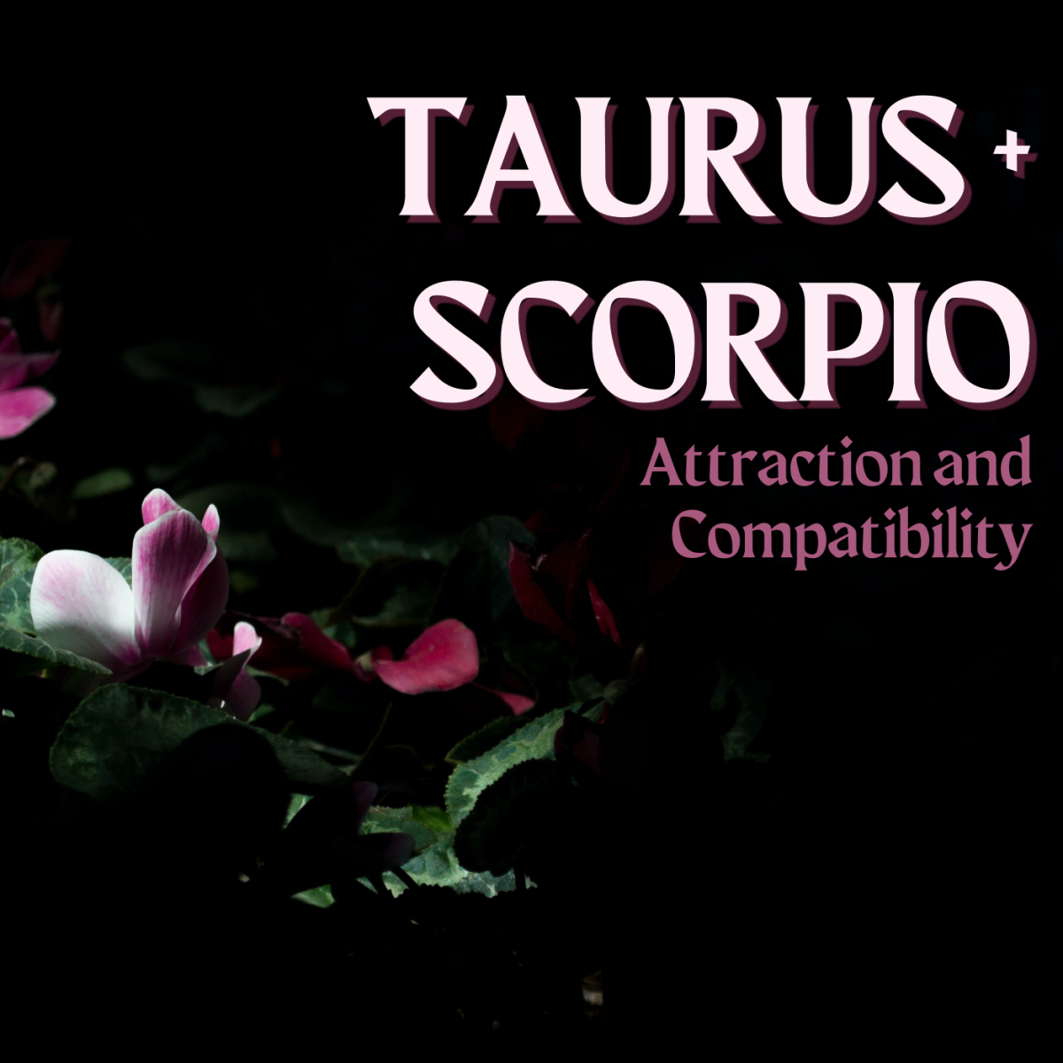 When Taurus' spring meets Scorpio's autumn, passion arises.