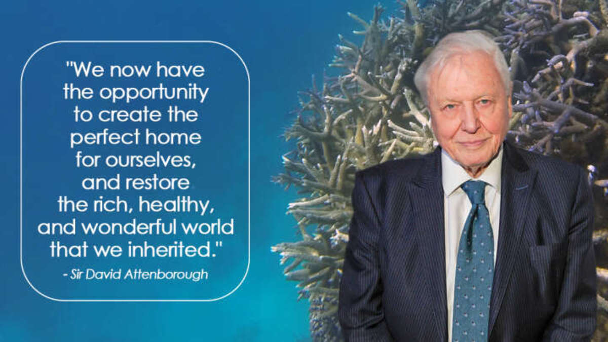 The Golden Voice of Naturalist Sir David Attenborough