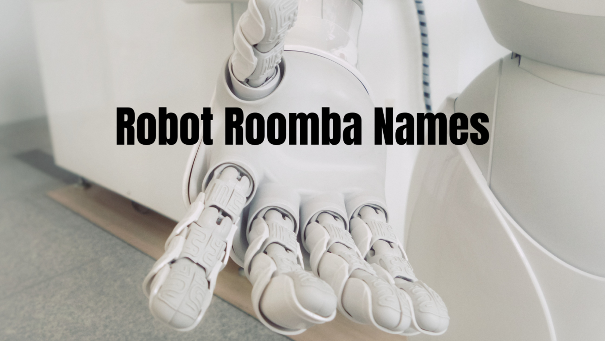 roomba-names