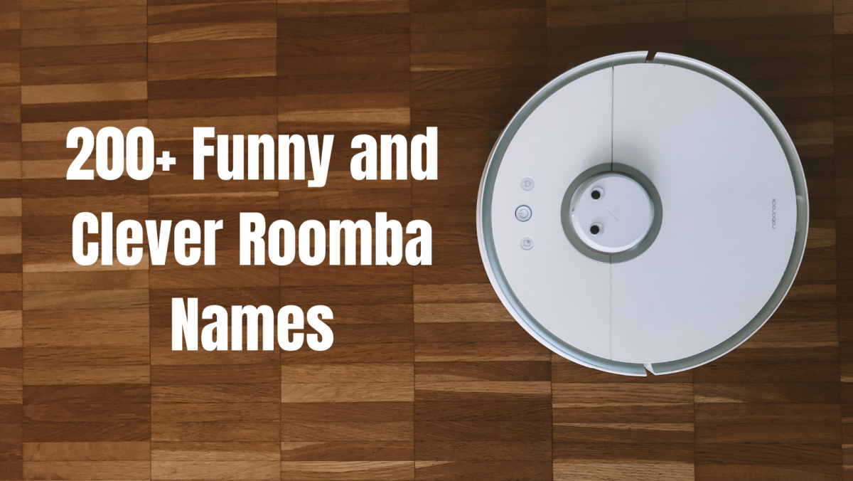 201+ Clever and Funny Names for a Roomba (or Robot Vacuum)