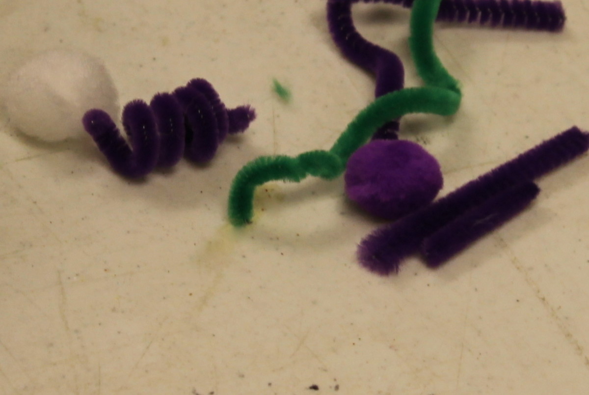 Bacteria’s 3 main shapes: Cocci - ball shapes, Bacilli – rods, & Spirelli – spirals. 