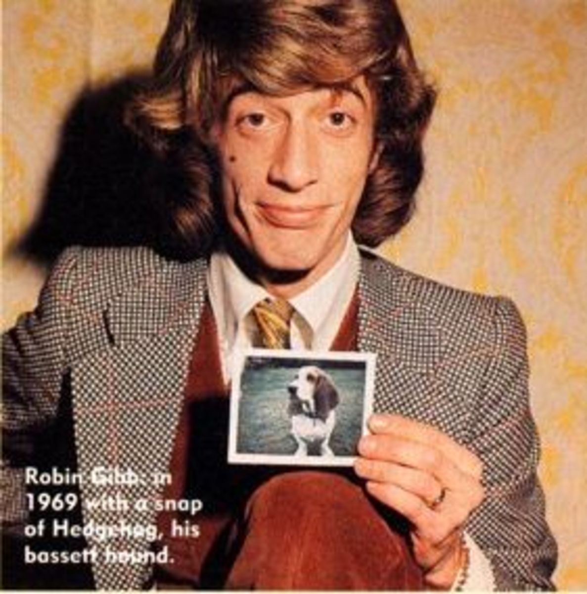 Mr R H Gibb with a picture of his Bassett Hound Hedgehog