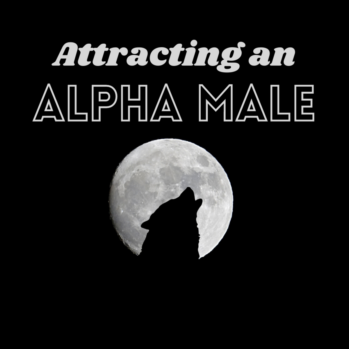 A guide to attracting an alpha male