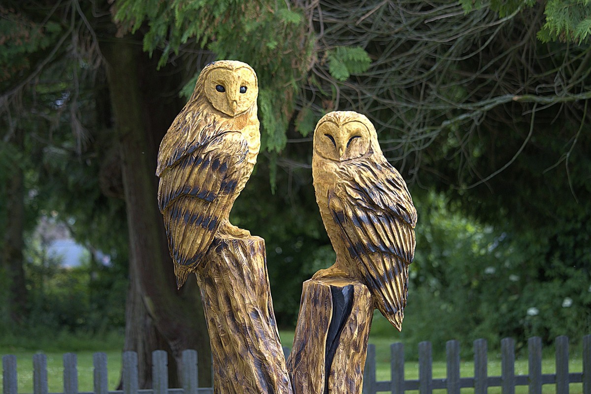 Two chainsaw-carced owls perched on a tree stump.