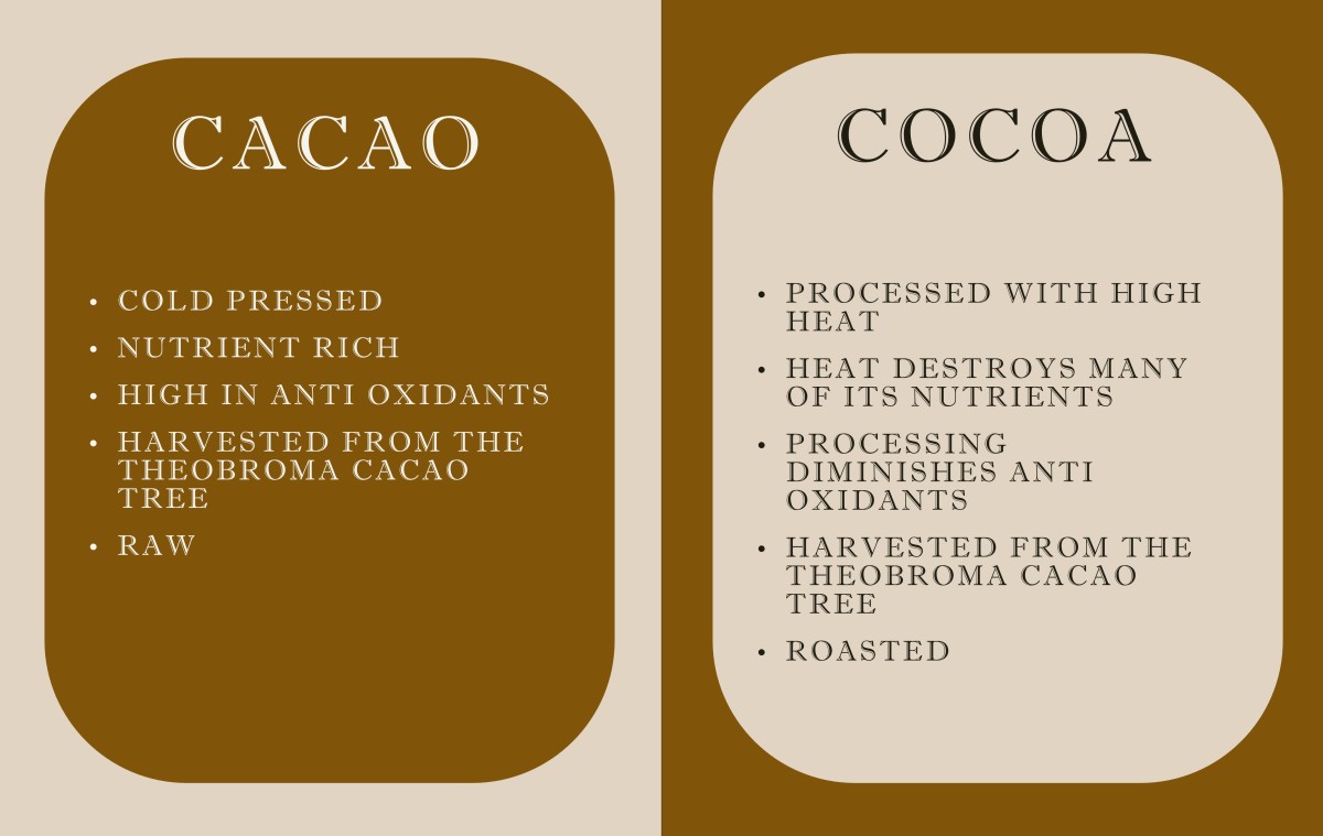 What are the critical differences between cocoa and cacao?