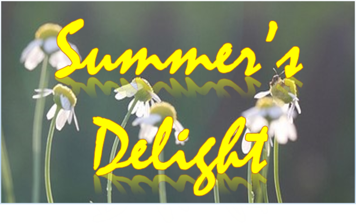 summers-delight