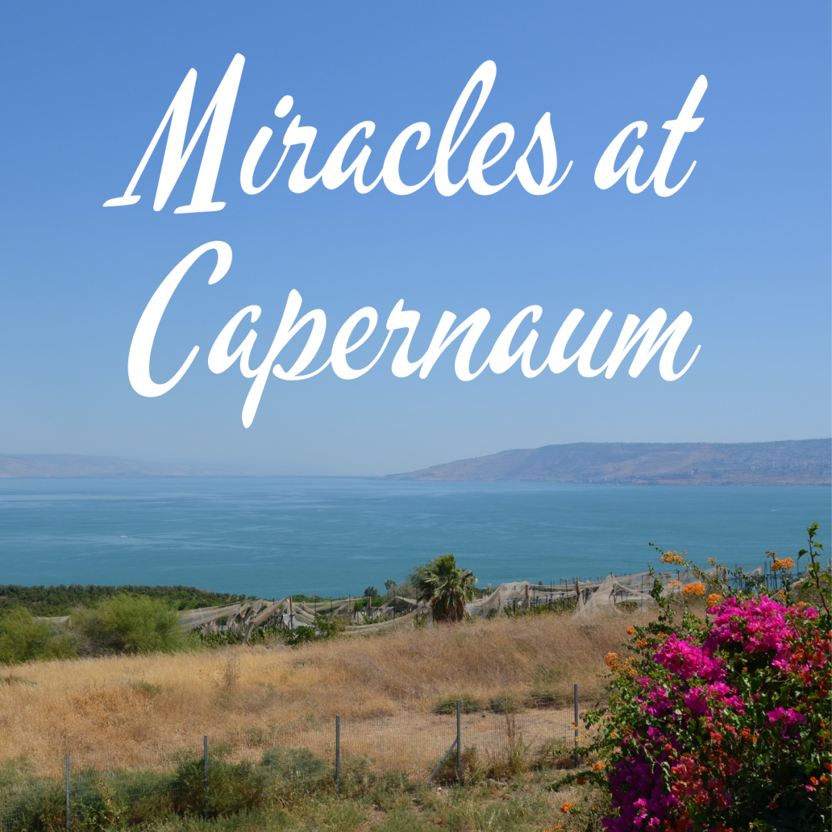 Miracles at Capernaum - LetterPile