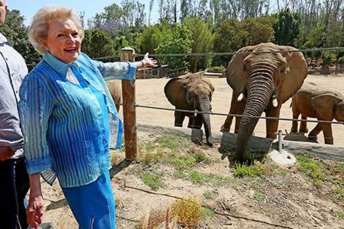 In addition to being a legendary actress, Betty White was also a legendary animal advocate. Here she is with some elephants at the Los Angeles Zoo.