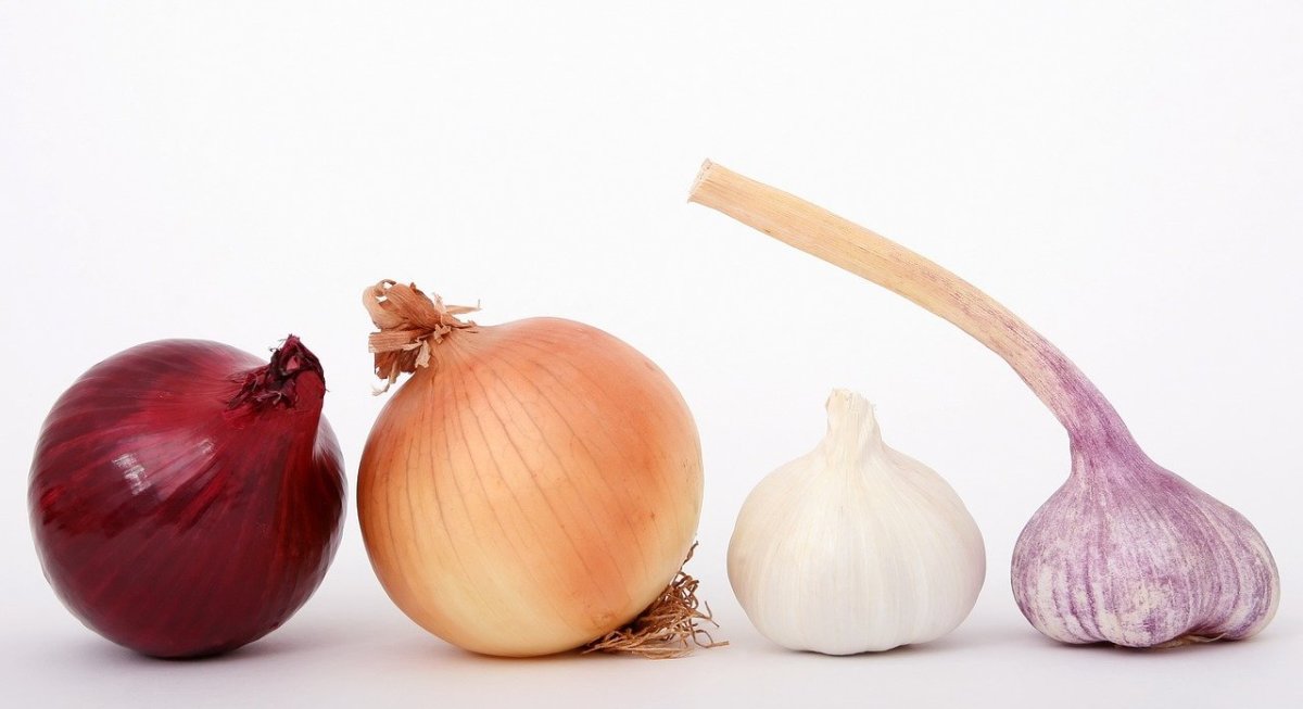 garlic-onion-complex-dish