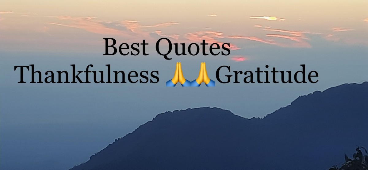 25 Beautiful Quotes to Express Gratitude and Thankfulness