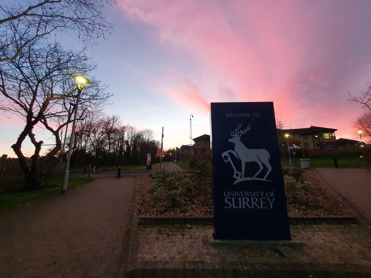 guildford-historic-tour-with-university-of-surrey