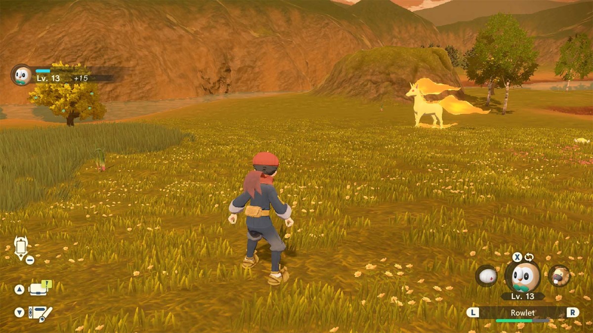 Not being able to tell if Rapidash has noticed you has resulted in at least one missing satchel.