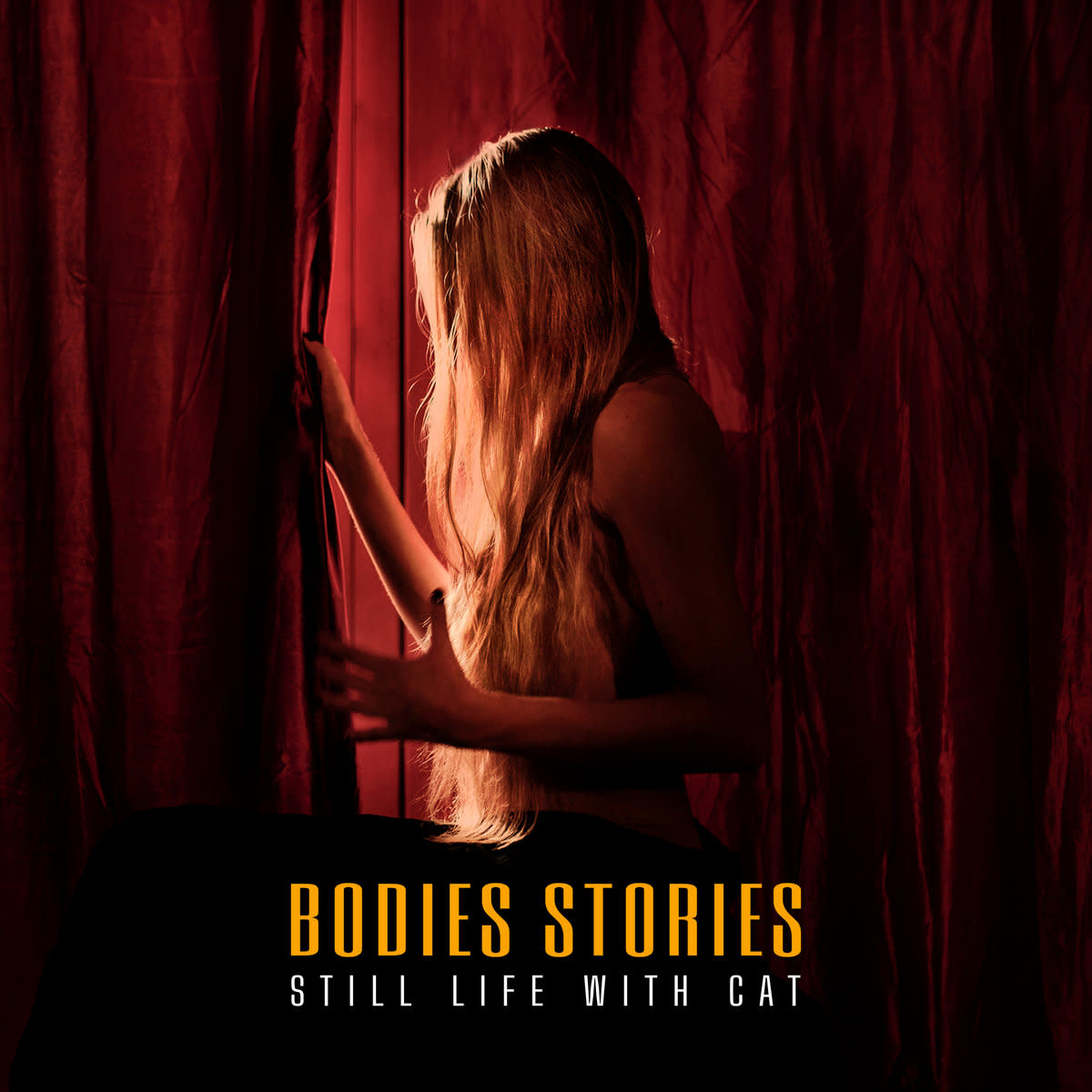 synthpop-album-review-bodies-stories-by-still-life-with-cat
