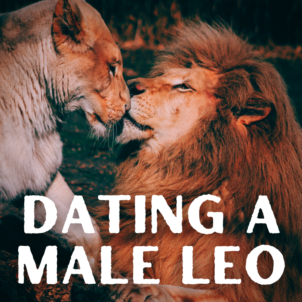 What's it like to date the lion? Enjoy this humorous look at Leo men!