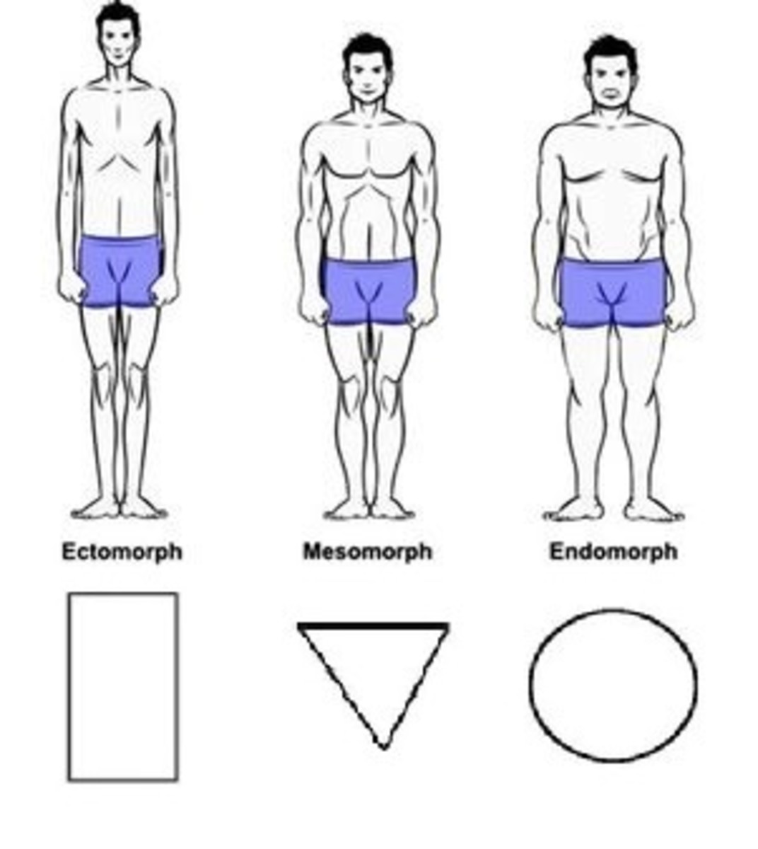 3-body-types
