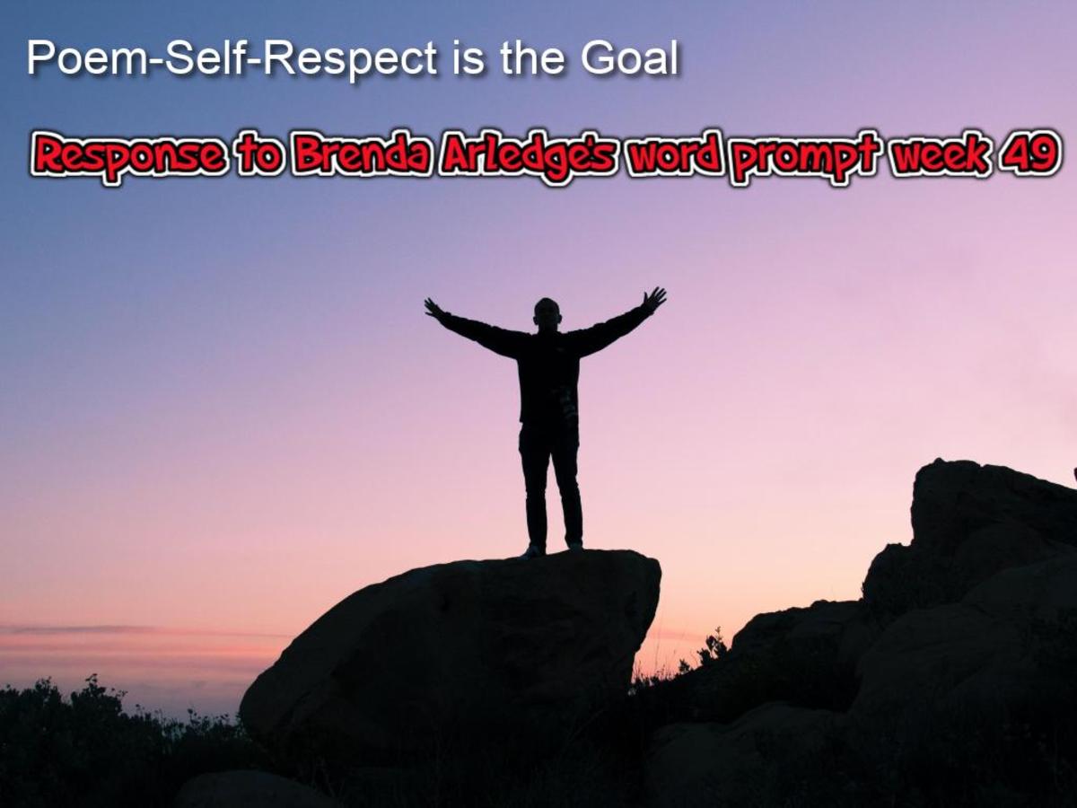 Poem-Self-Respect Is the Goal -Response to Brenda Arledge’s Word Prompt Week 49