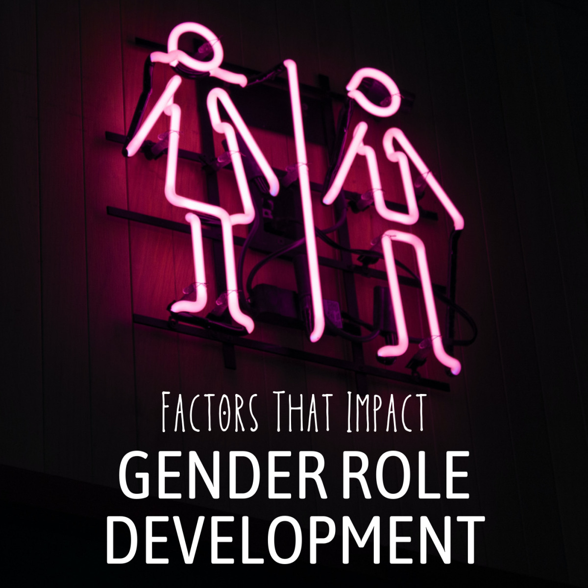 What Influences the Development of Gender Roles?