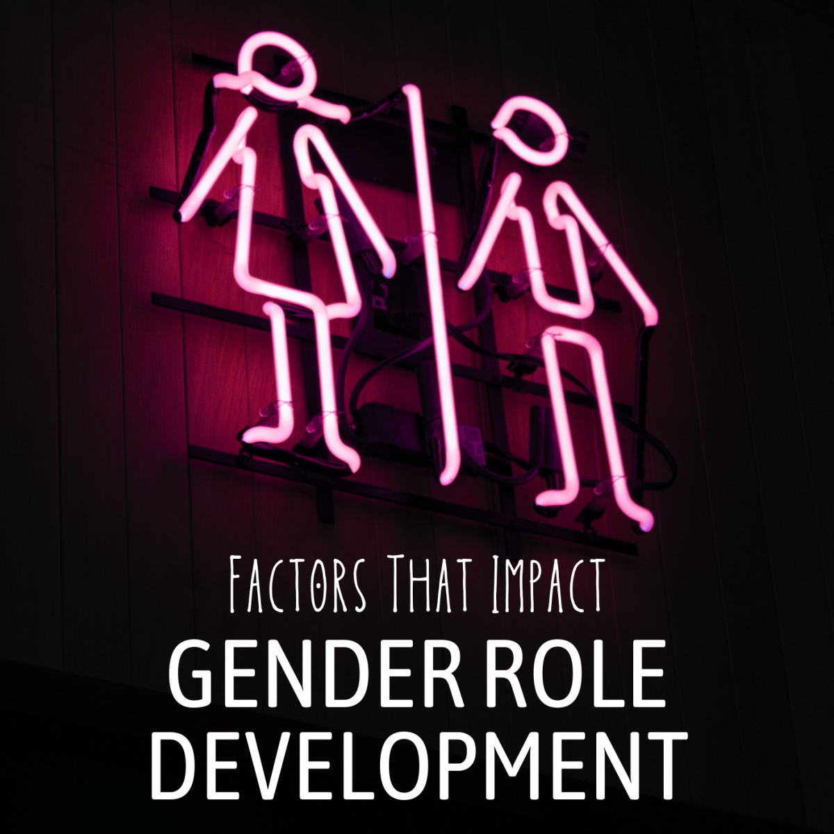 What Influences The Development Of Gender Roles PairedLife