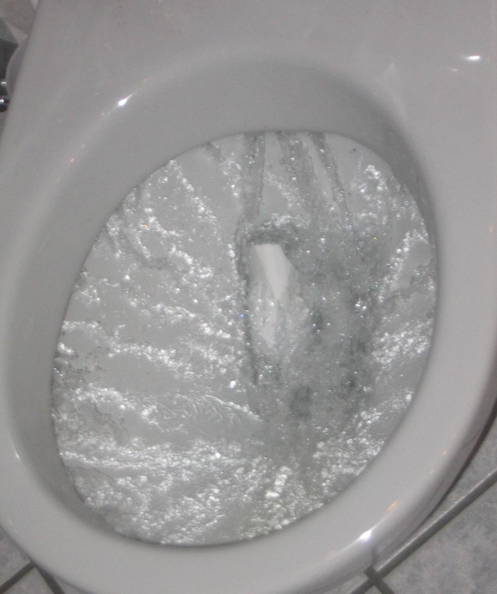 Some items should never be flushed down the toilet.