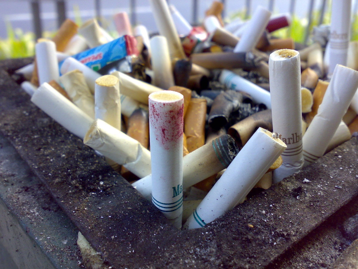 These cigarette butts should never end up inside the toilet.