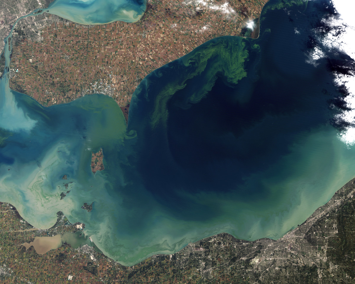The algal bloom of 2011 was even worse than the 2014 episode which poisoned Toledo's water supply.  Picture by Jesse Allen and Robert Simmon.