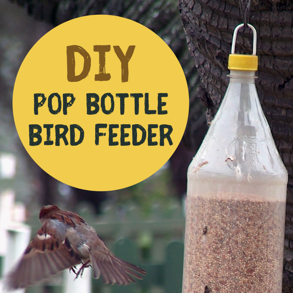 Upcycle your used soda bottles into bird feeders for your yard!