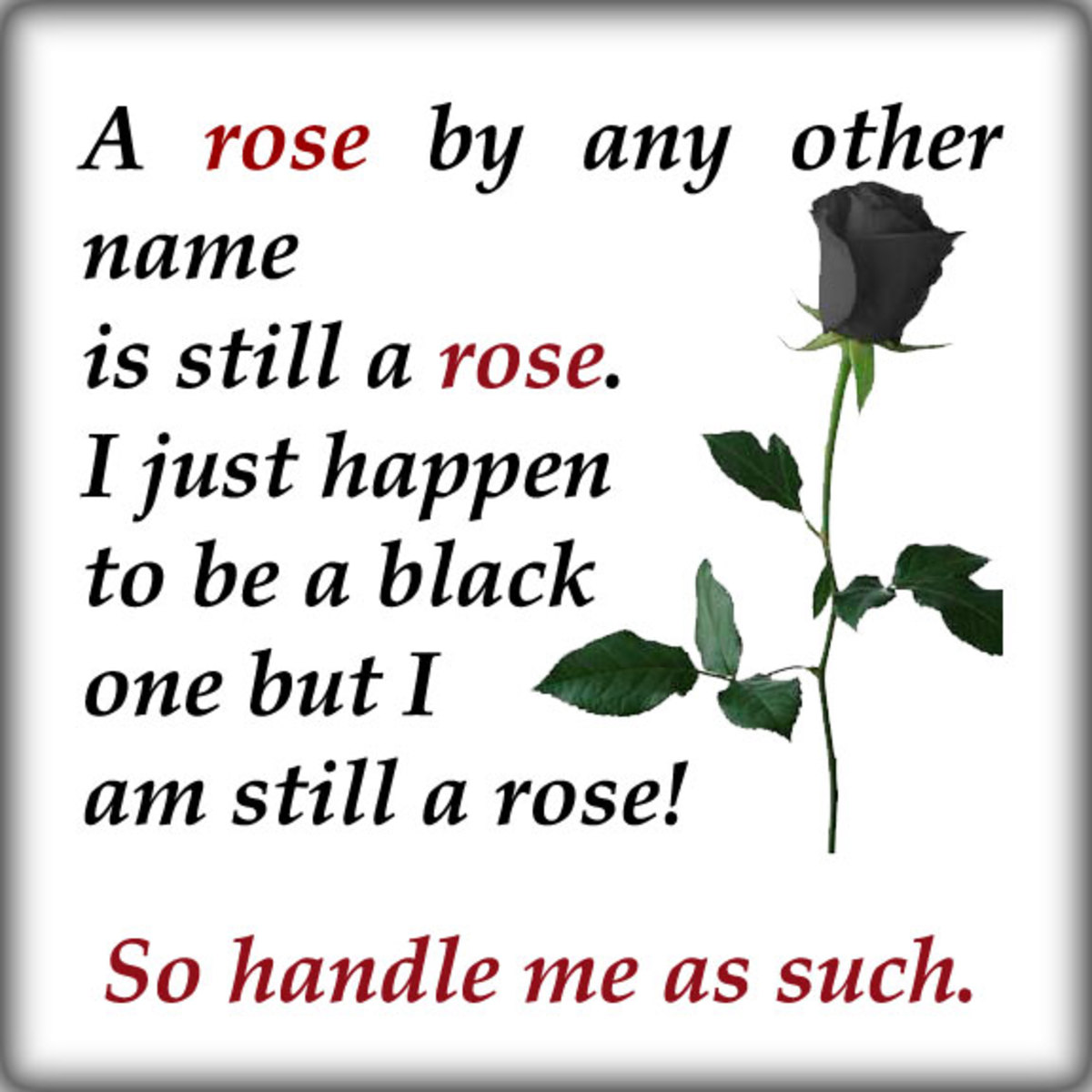 black-rose-you-are-beautiful-too