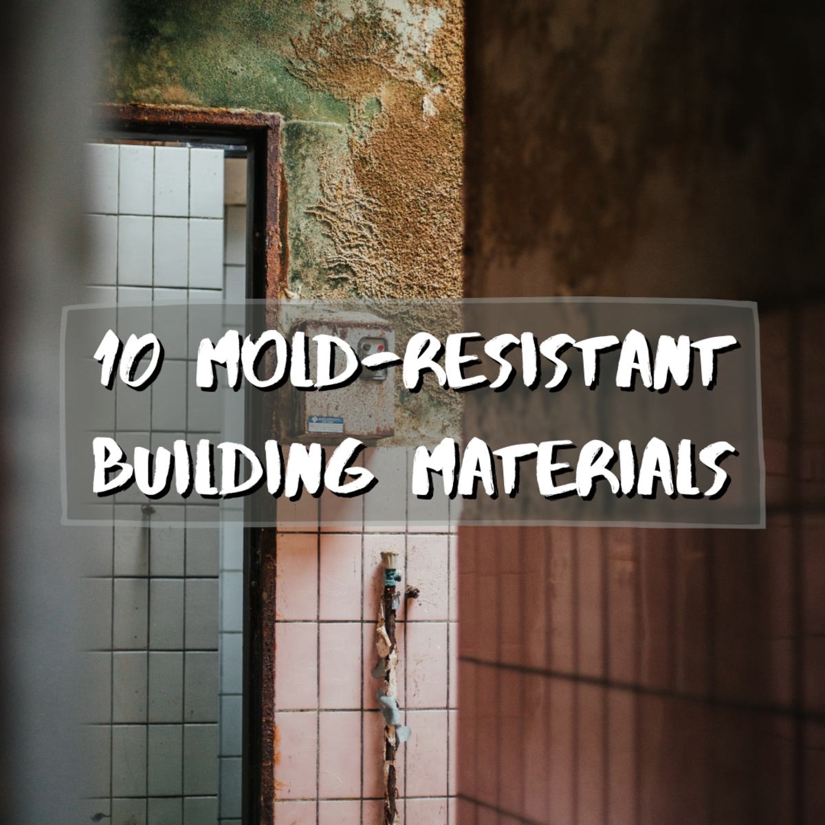 Read on to learn about 10 amazing mold resistant materials used in construction, including mold resistant wood, insulation, and drywall!