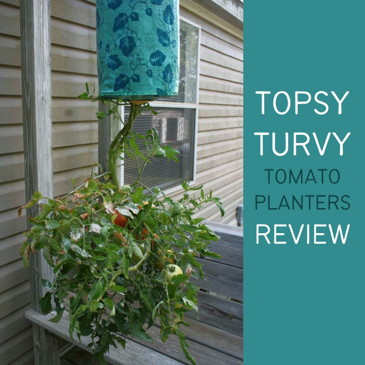Do Upside-Down Tomato Planters Really Work?