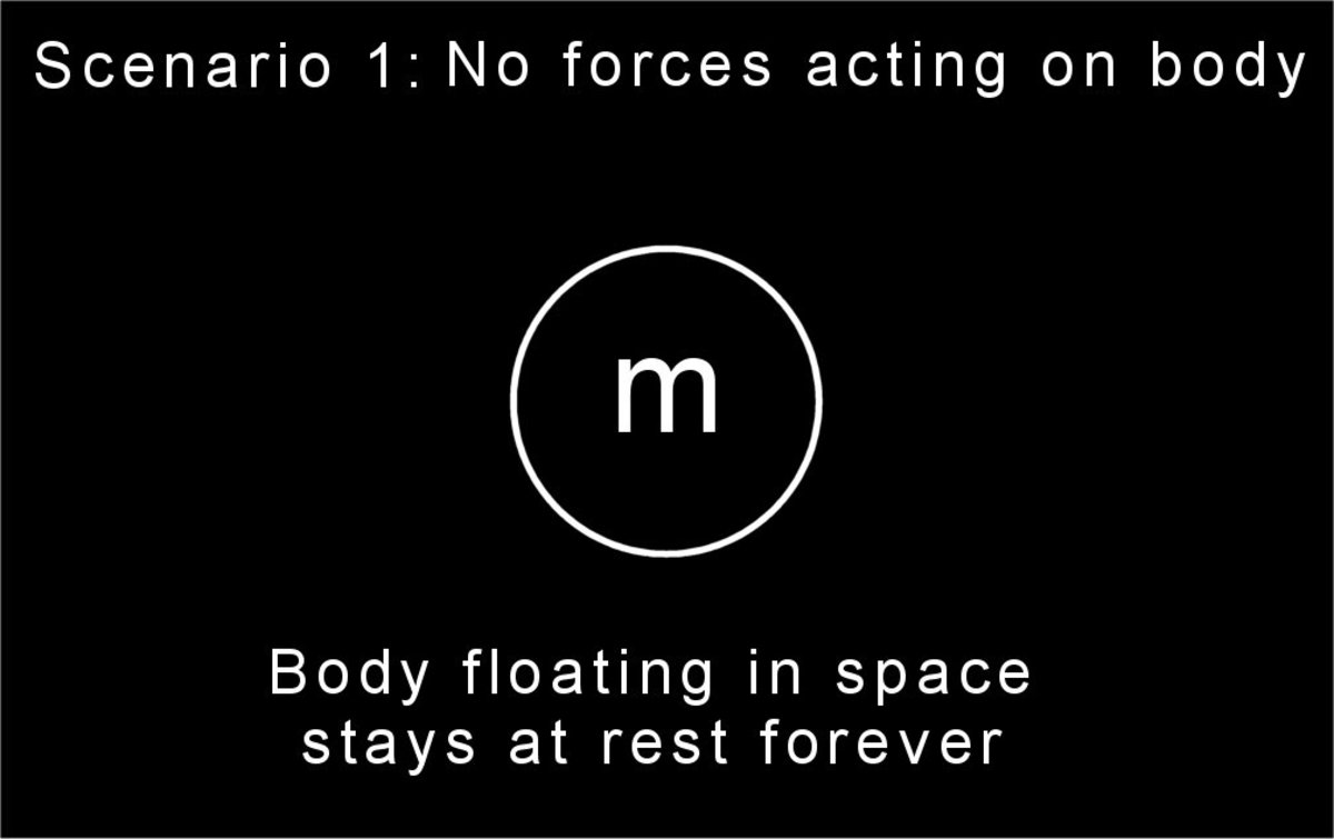 No forces act on the body, so it stays at rest.