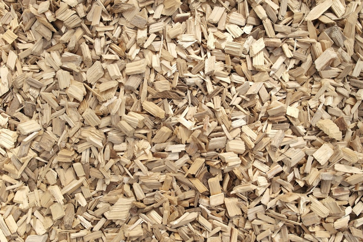 In order to make sure your plants receive sufficient moisture, rely on less frequent, deeper watering—this will maximize your water resource and the benefit of the woodchips. 