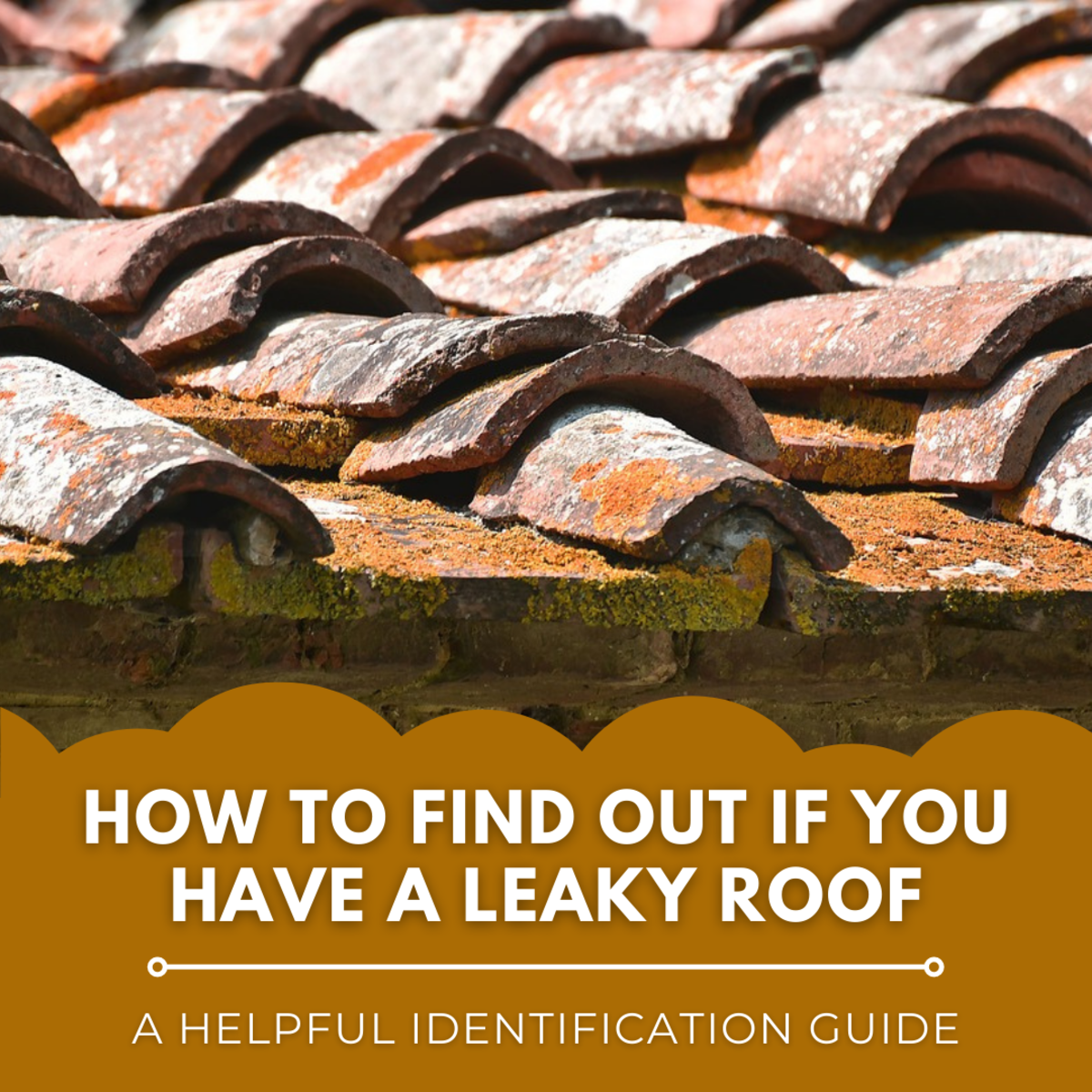 This guide will help you figure out whether or not your roof is leaking.