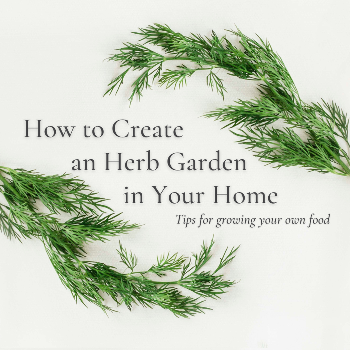 This article will break down all the basics for starting your own herb garden in your home.