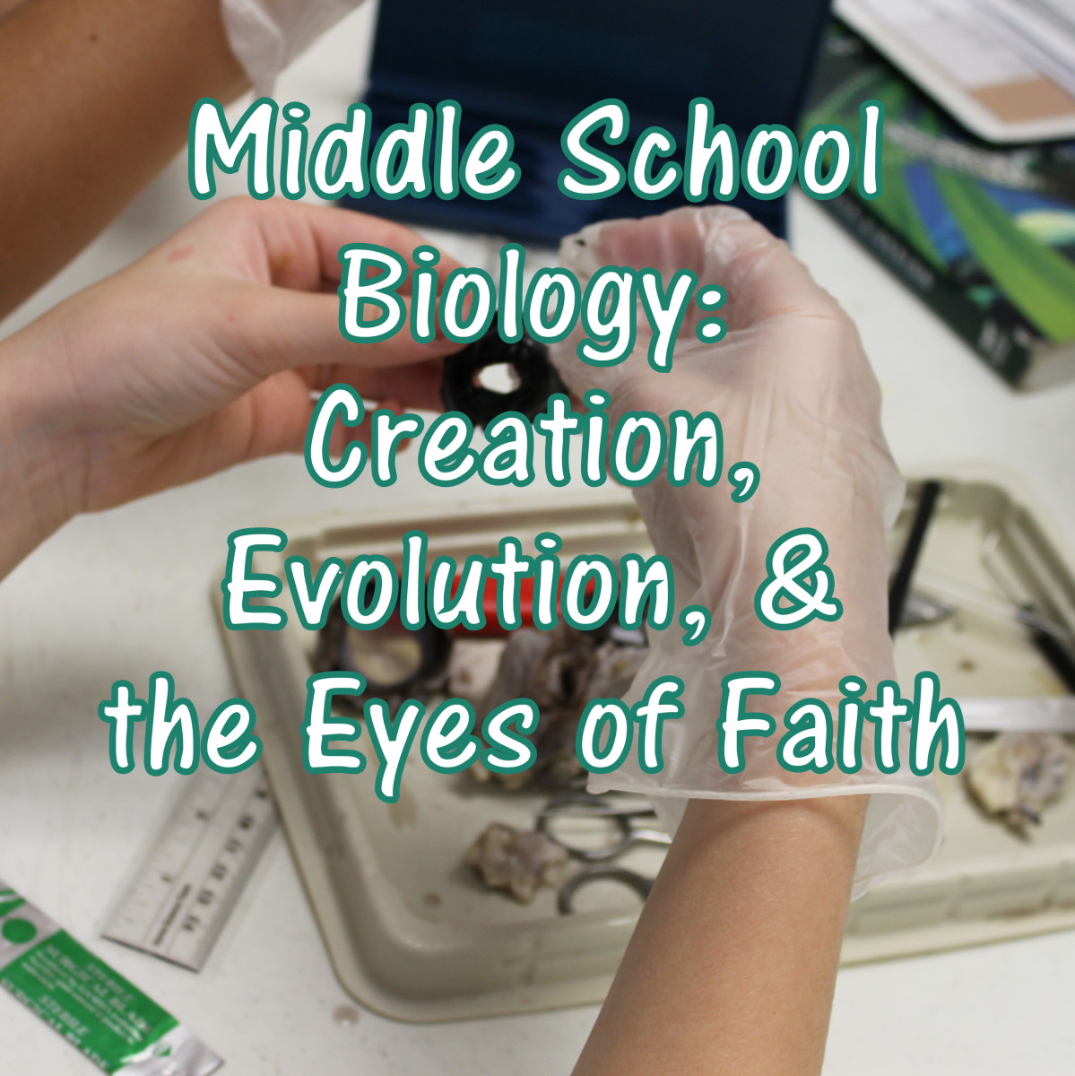 Creation, Evolution, & the Eyes of Faith STEM Lesson Plan