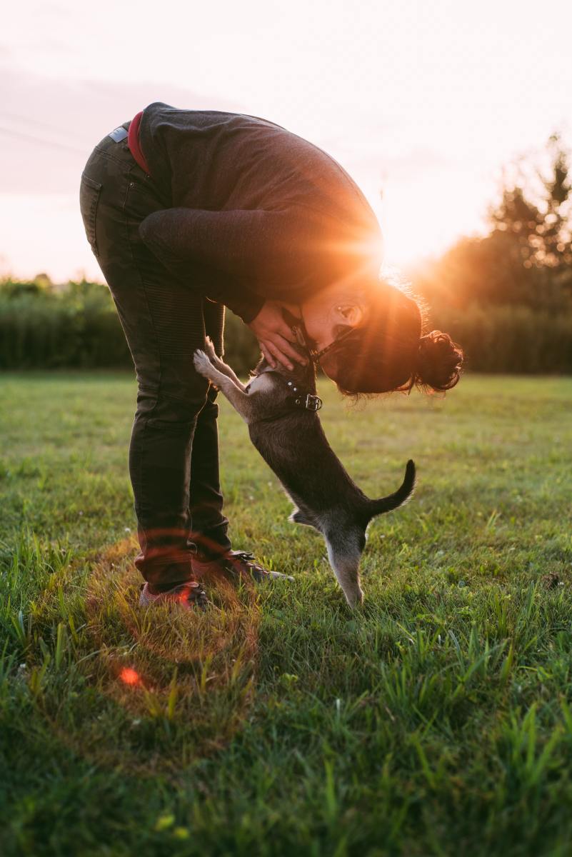 Once your puppy does their business outside, make sure to give them lots of attention and praise.