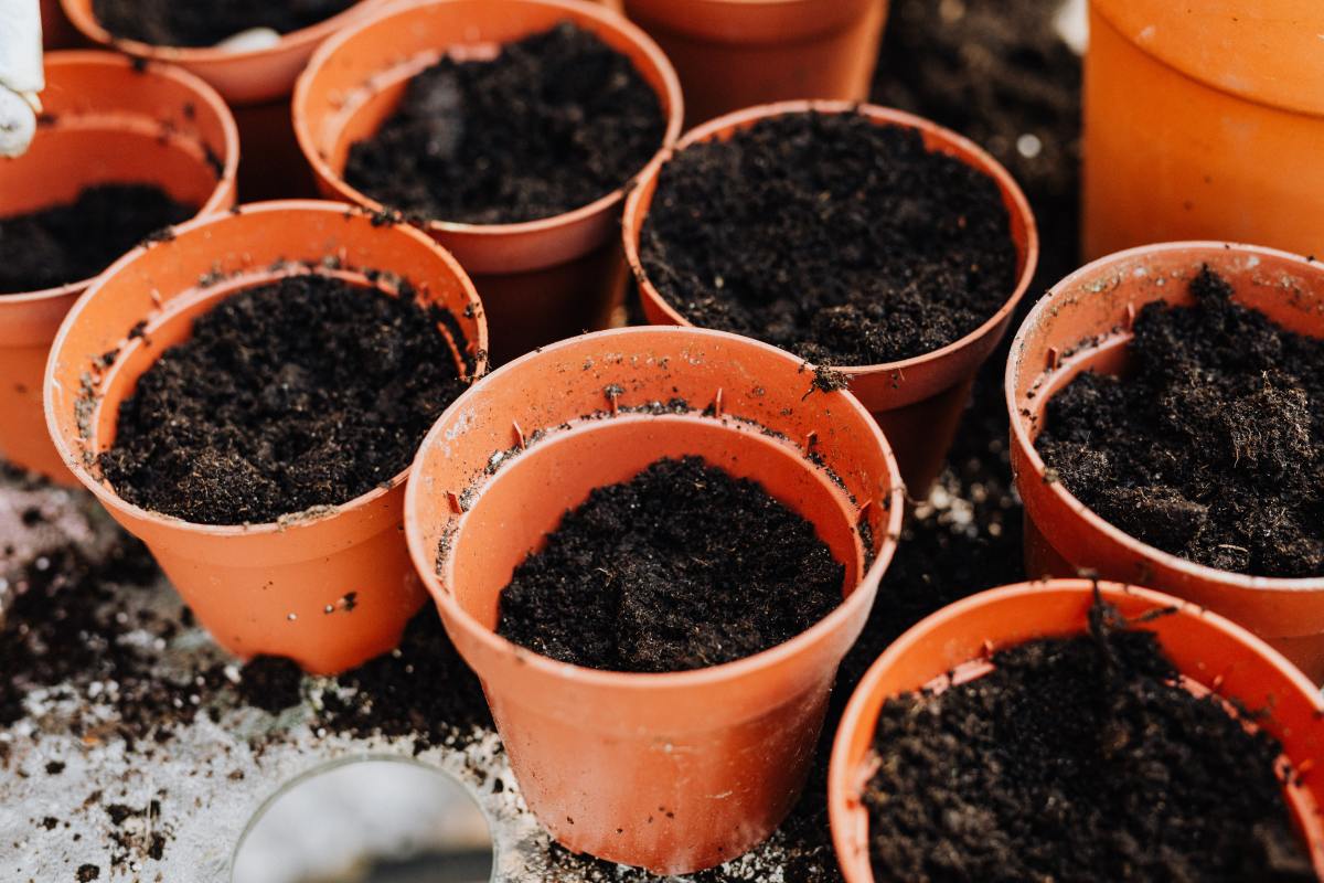 Sterilizing your potting soil is an easy task to do yourself.