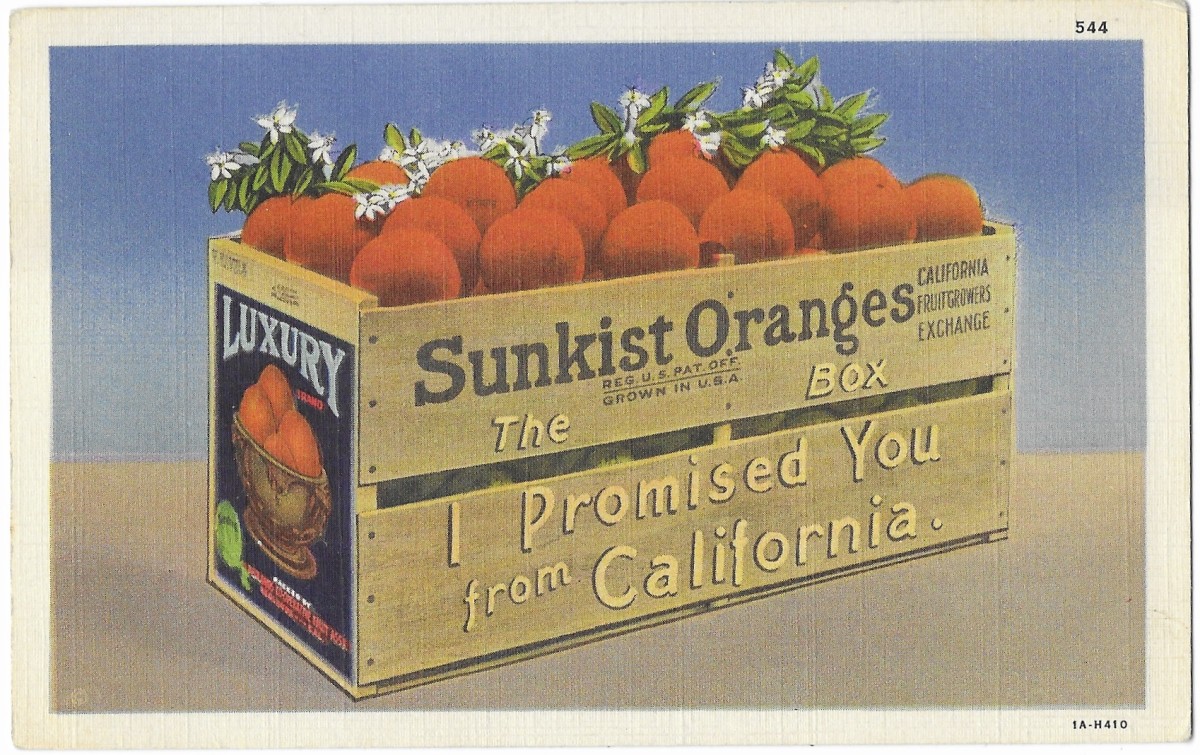 "The Box from California I Promised You," vintage postcard