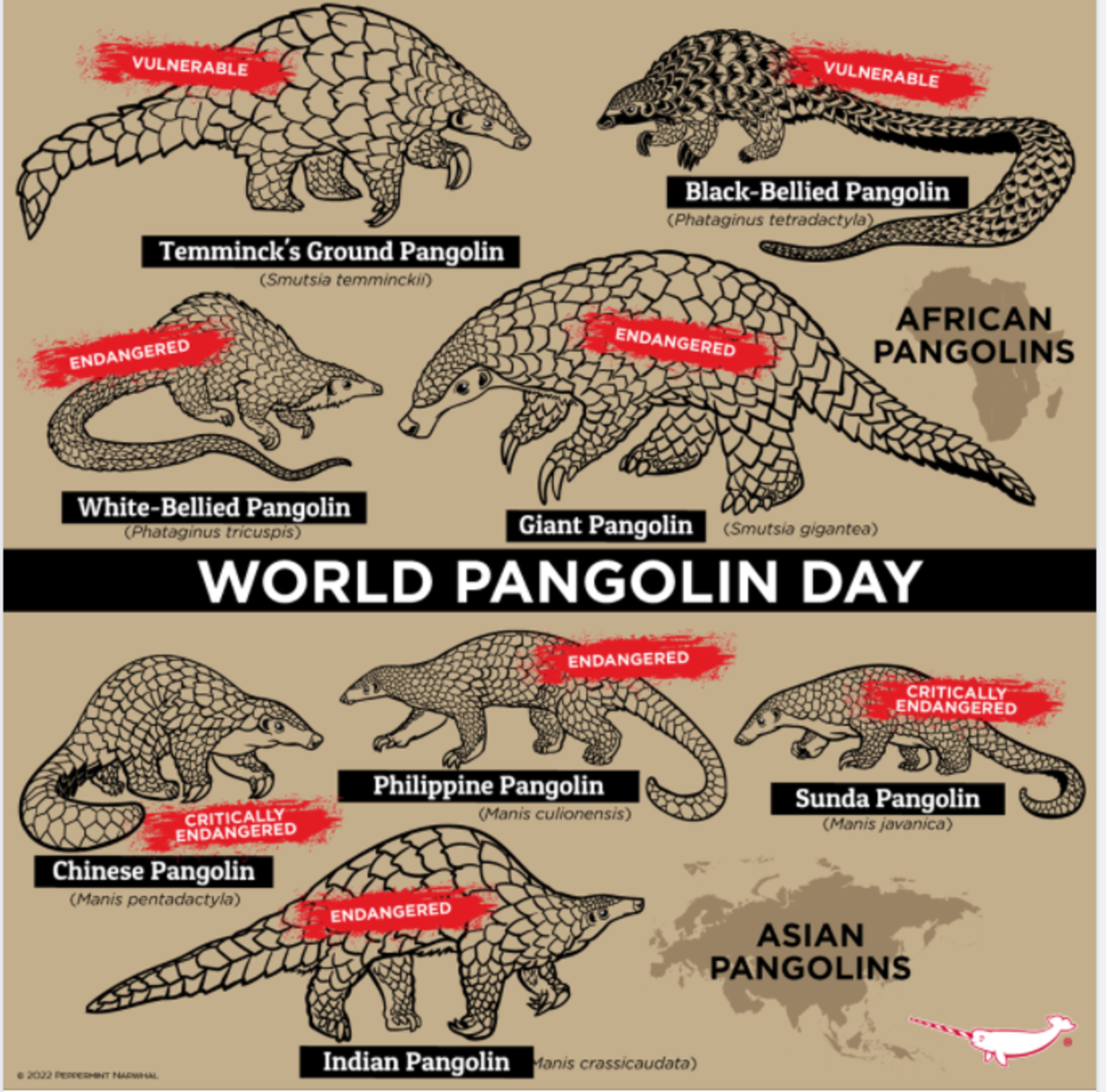 world-pangolin-day