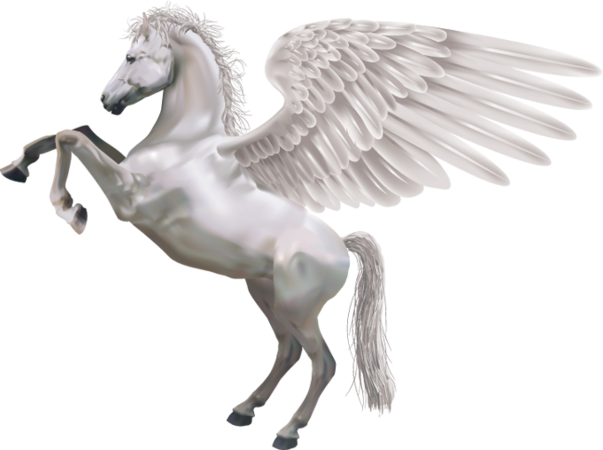 Pegasus will carry us to Mount Olympus!