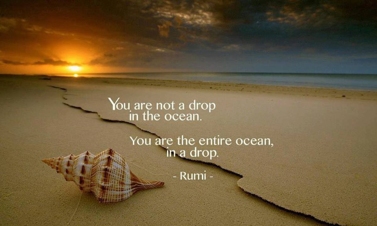 You are not a drop in the ocean. You are the entire ocean in a drop. - Rumi