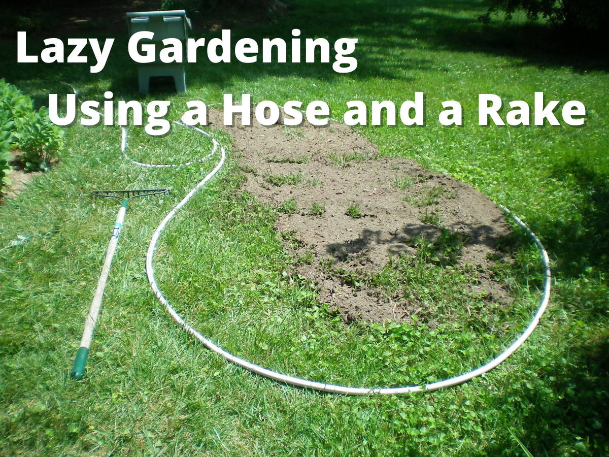 Lazy Gardening: Designing a Bed the Easy Way