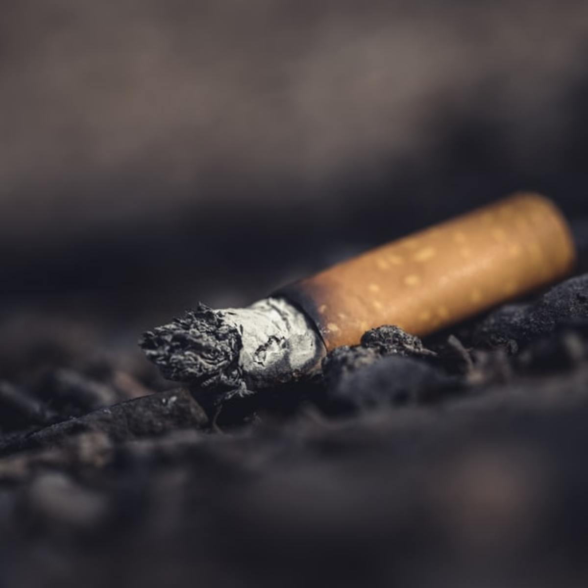 the-toxic-trash-of-cigarette-butts