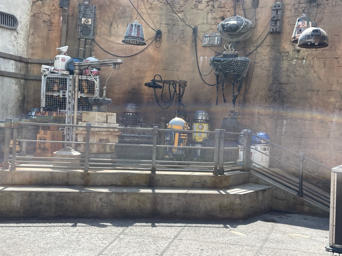 All the droids that where in the background in the movies are also in Galaxy's Edge. They even periodically come to life. 