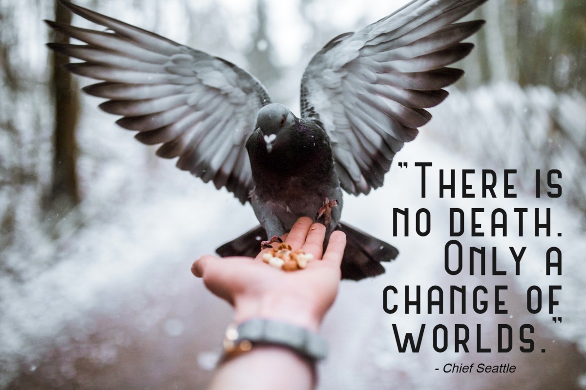 “There is no death. Only a change of worlds.” - Chief Seattle, Suquamish and Duwamish chief