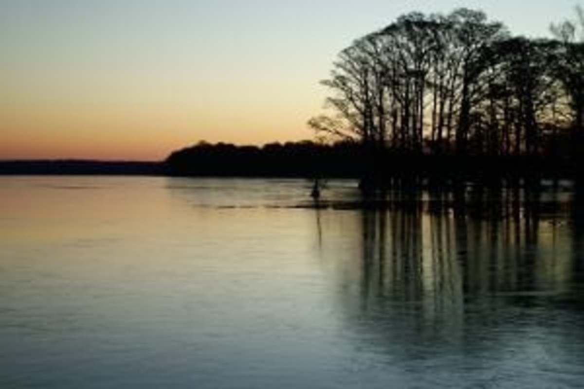 Reelfoot Lake, Tennessee