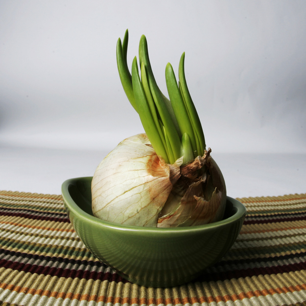Is it safe to eat a sprouted garlic?